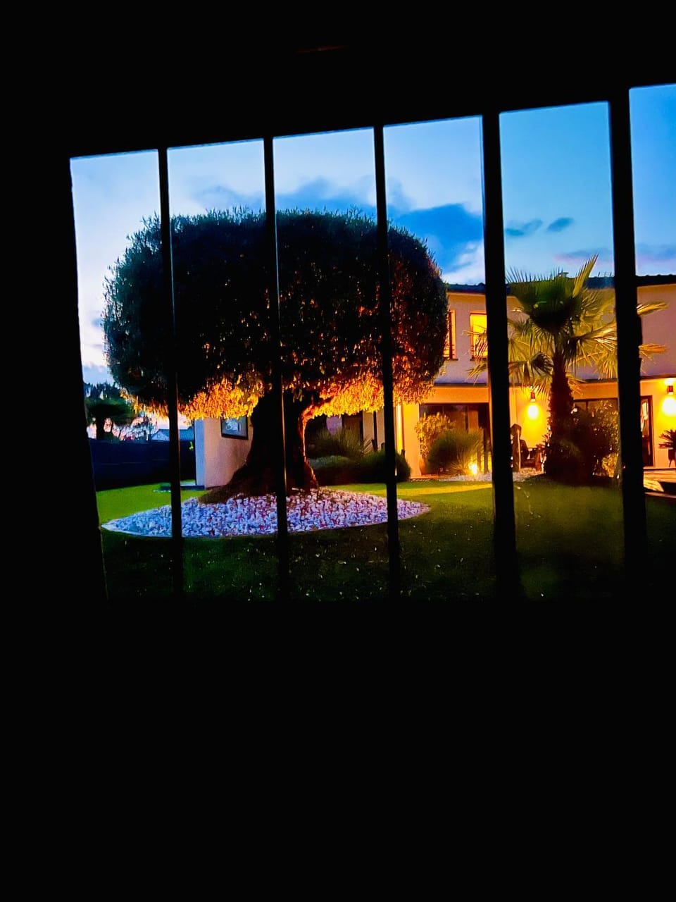Night, Garden view