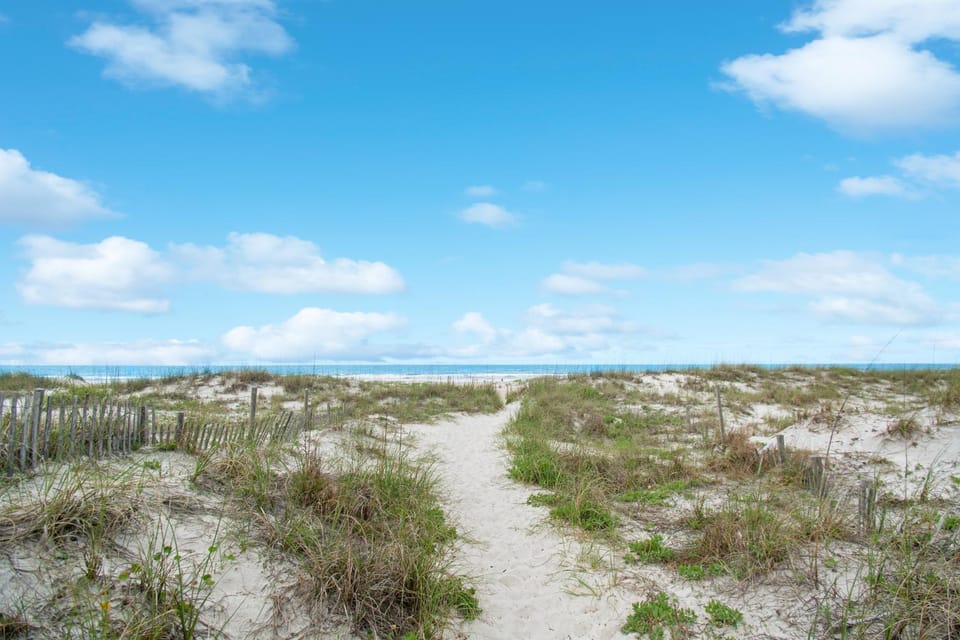 Natural landscape