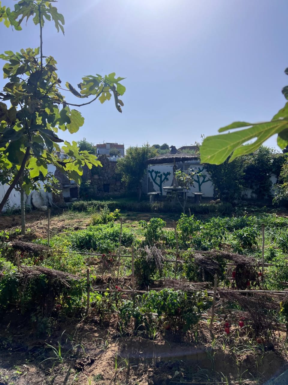 Natural landscape, Garden, Garden view