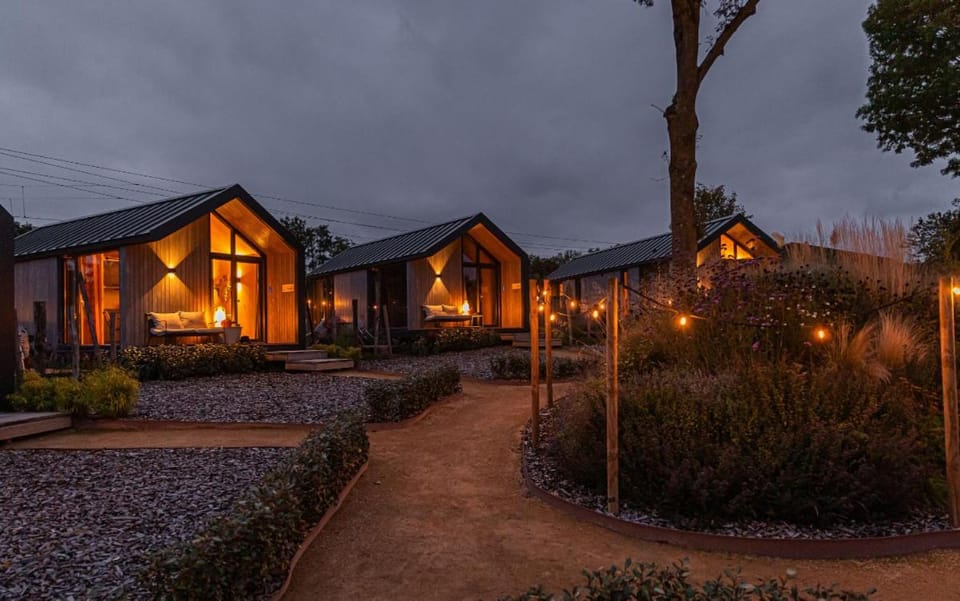 Property building, Night, Garden view