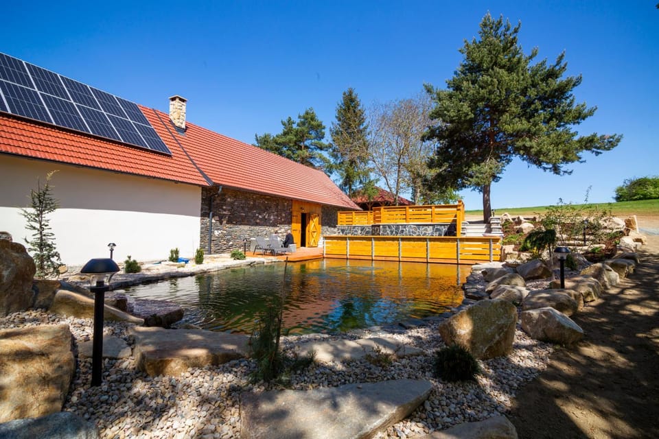 Natural landscape, Garden, Swimming pool