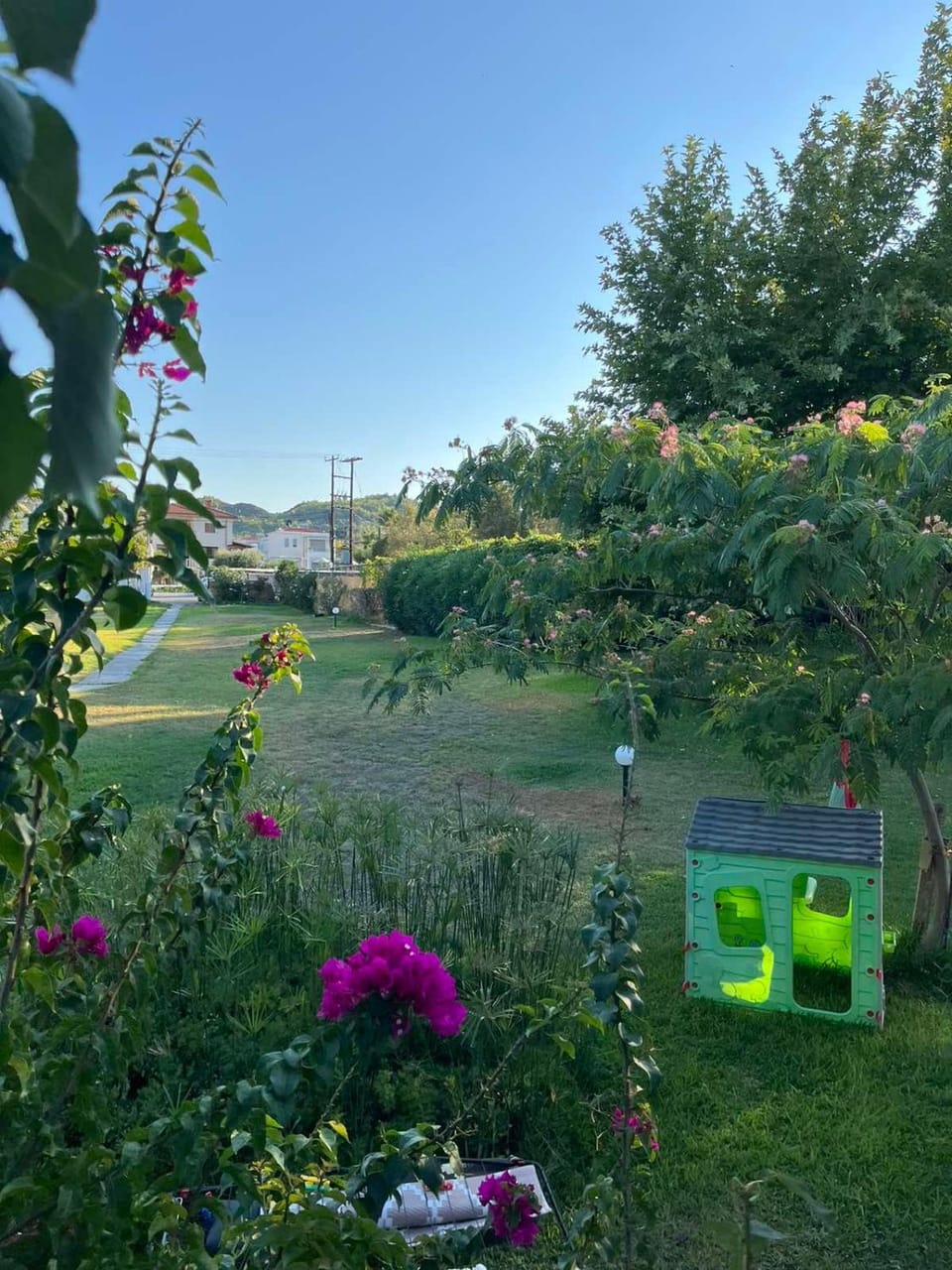 Garden, Garden, Garden view