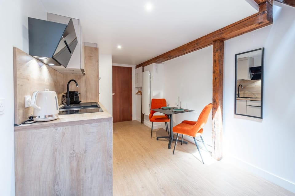 Studio TANAGA Apartment in Annecy