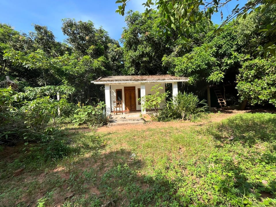 Art Forest Hostel in Tamil Nadu