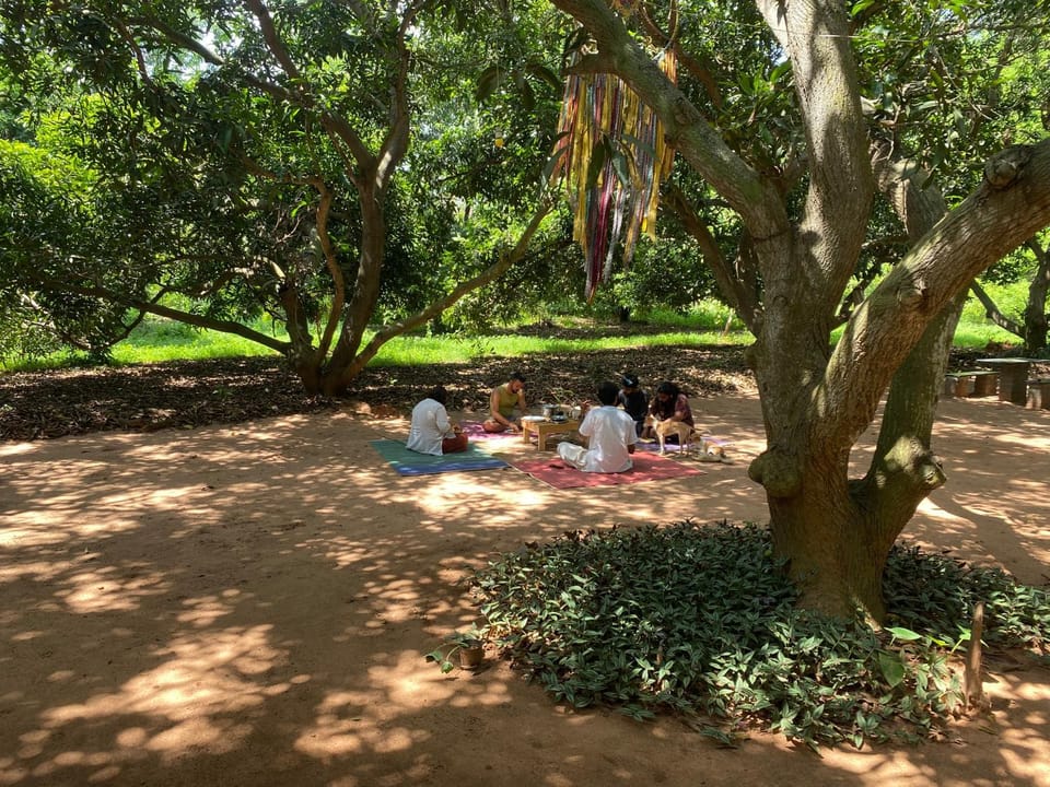 Art Forest Hostel in Tamil Nadu