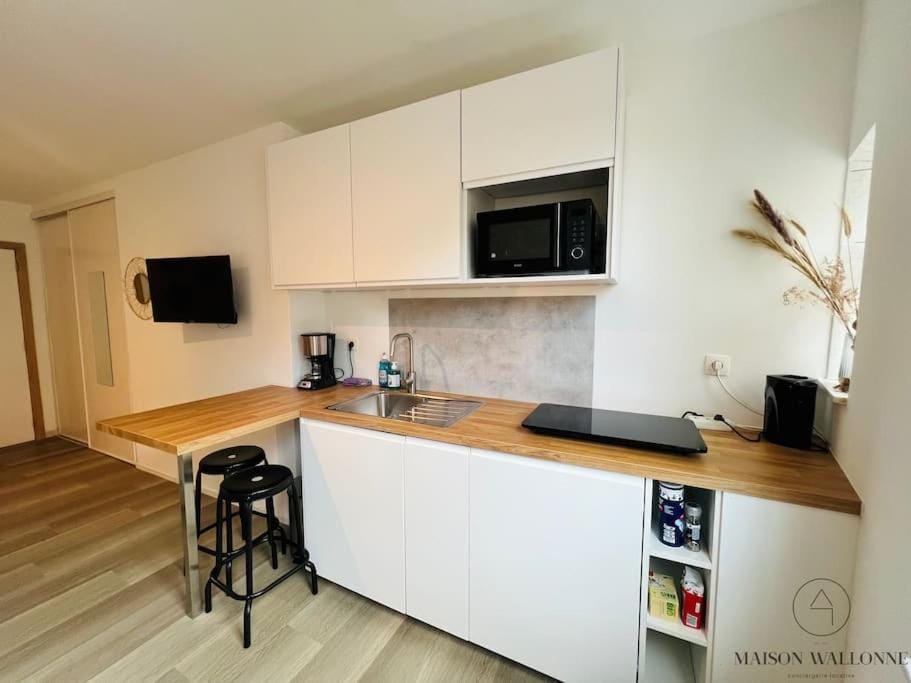 Le Wallon - Cointe Guillemins Botanique Apartment in Liège