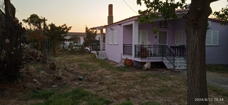 Property building, Garden, Garden view