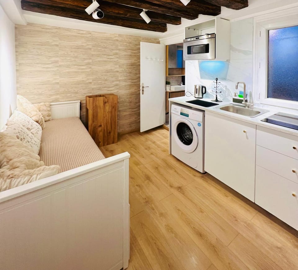 Studio 100m to Chatelet Apartment in Paris