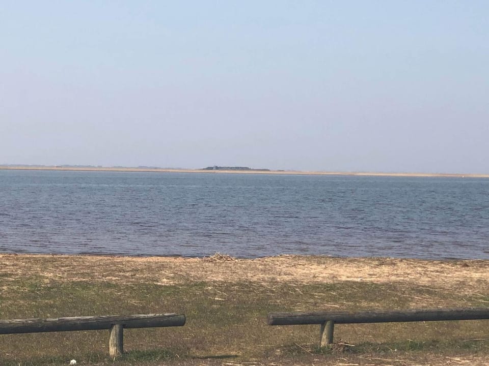 Lake view