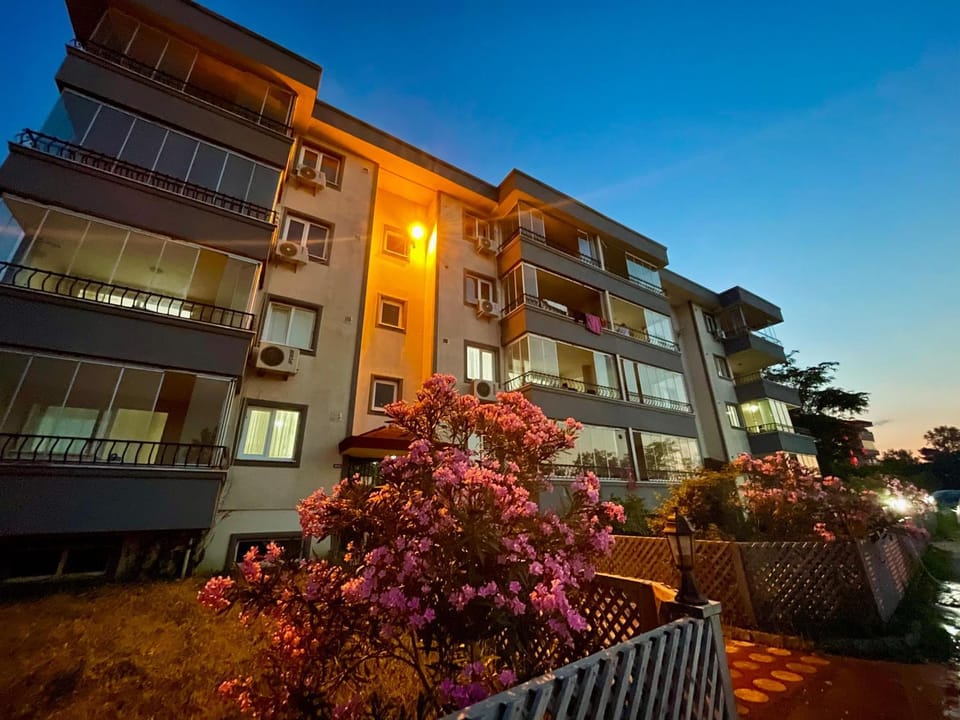 Property building, Night, Garden, Garden view