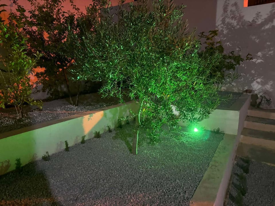 Night, Garden, Garden view