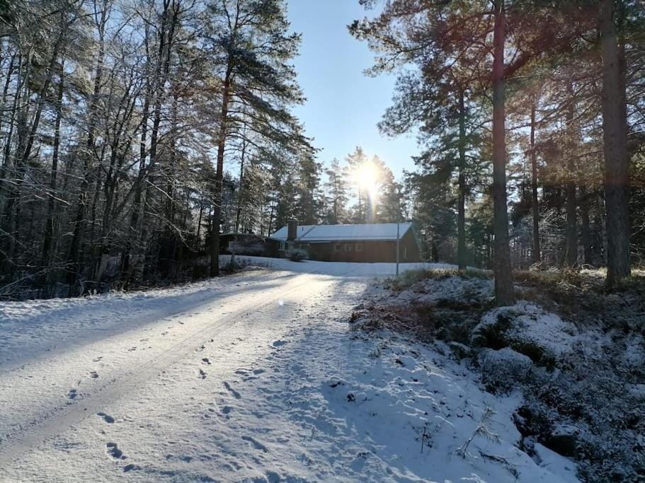 Natural landscape, Winter