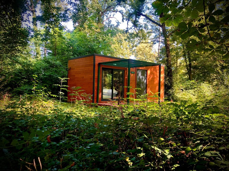 Patio, Spring, Natural landscape, Garden, Bedroom, Garden view