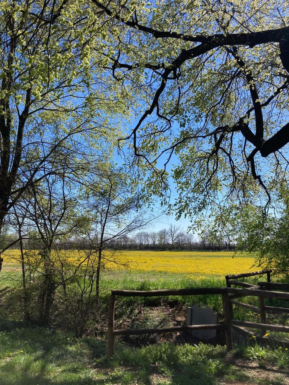 Casa Buri Hostel in Verona