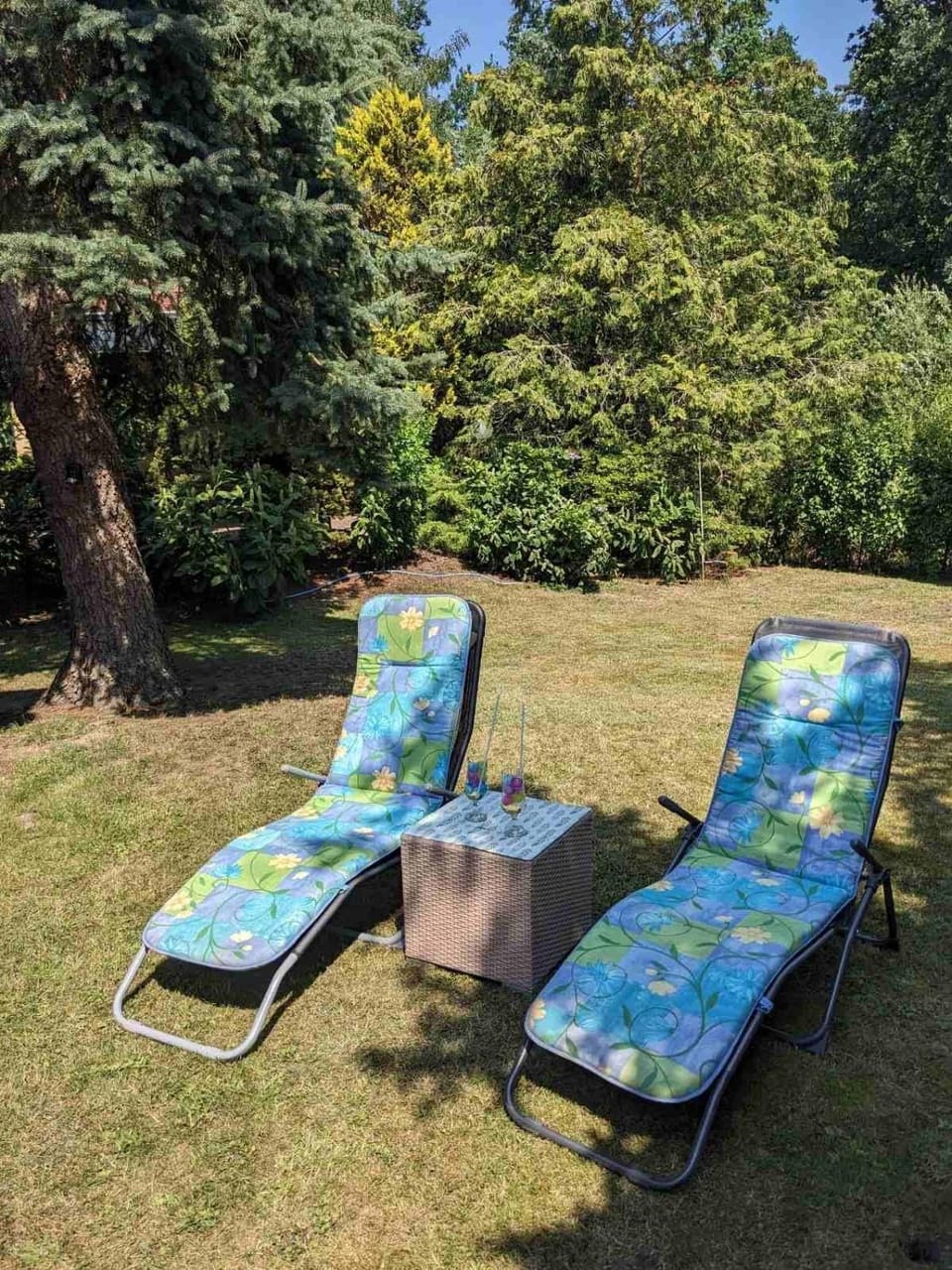 Spring, Day, Garden
