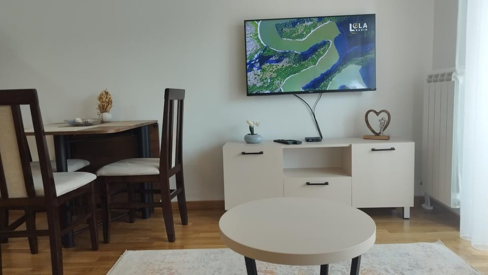 TV and multimedia
