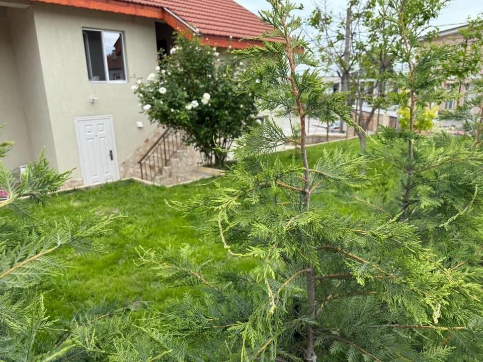 Стаи за гости - Дара Девня 1 Bed and Breakfast in Varna Province