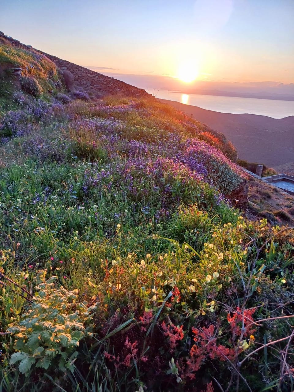 Spring, Mountain view, Sea view, Sunset