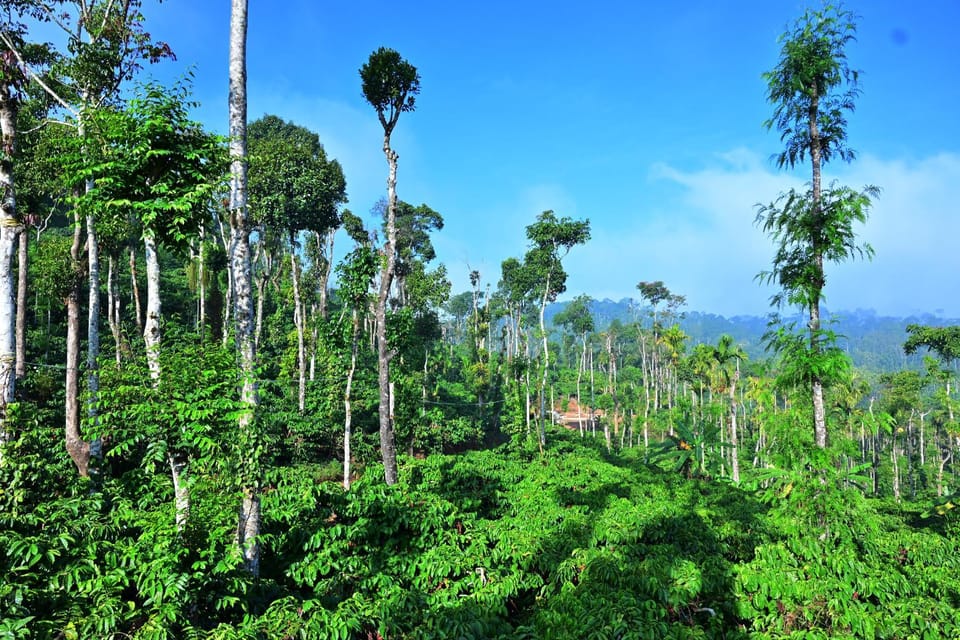 Natural landscape