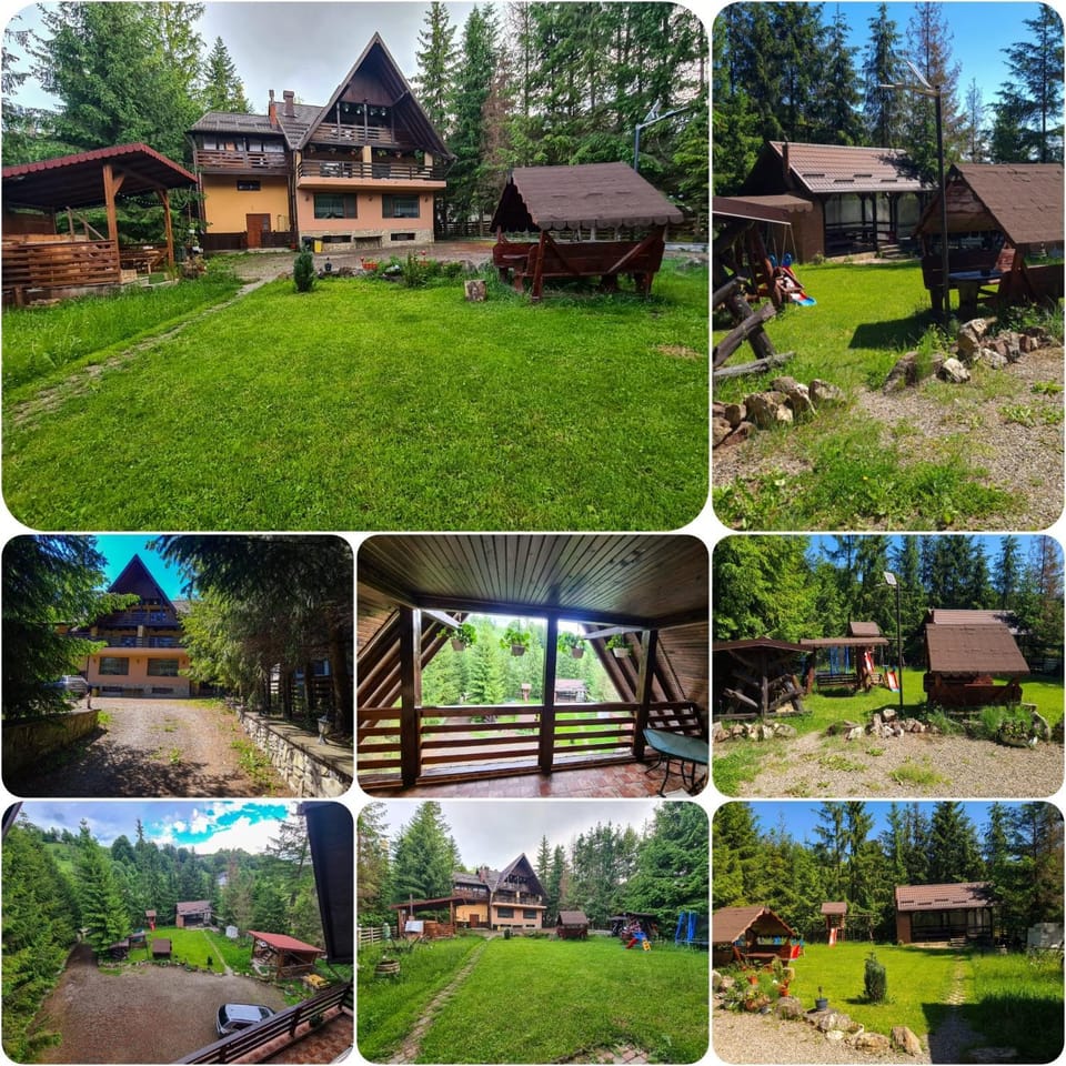 Vis de Munte Bed and Breakfast in Romania
