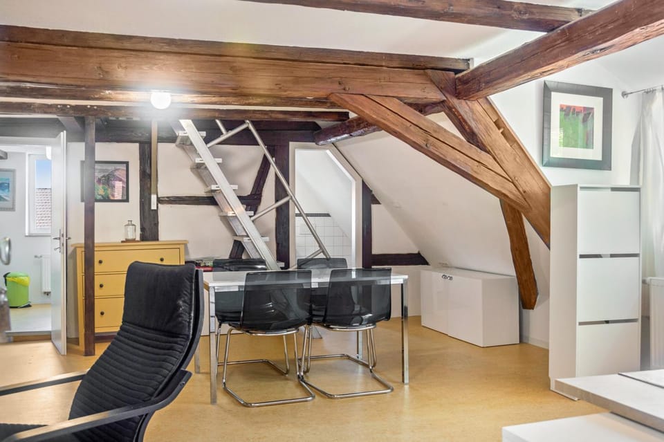 Alte Schmiede Ellrichshausen 1 Apartment in Baden-Württemberg
