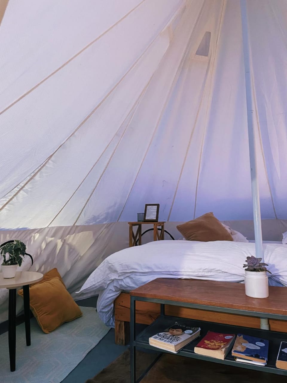 Bed, Living room, Bedroom