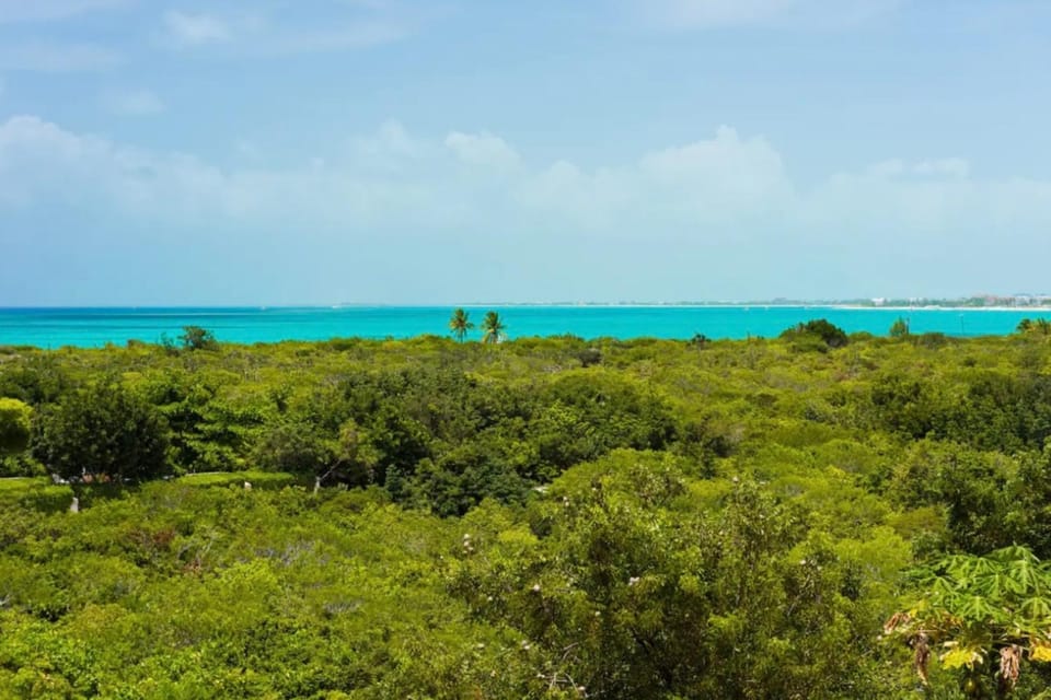 Natural landscape, Beach