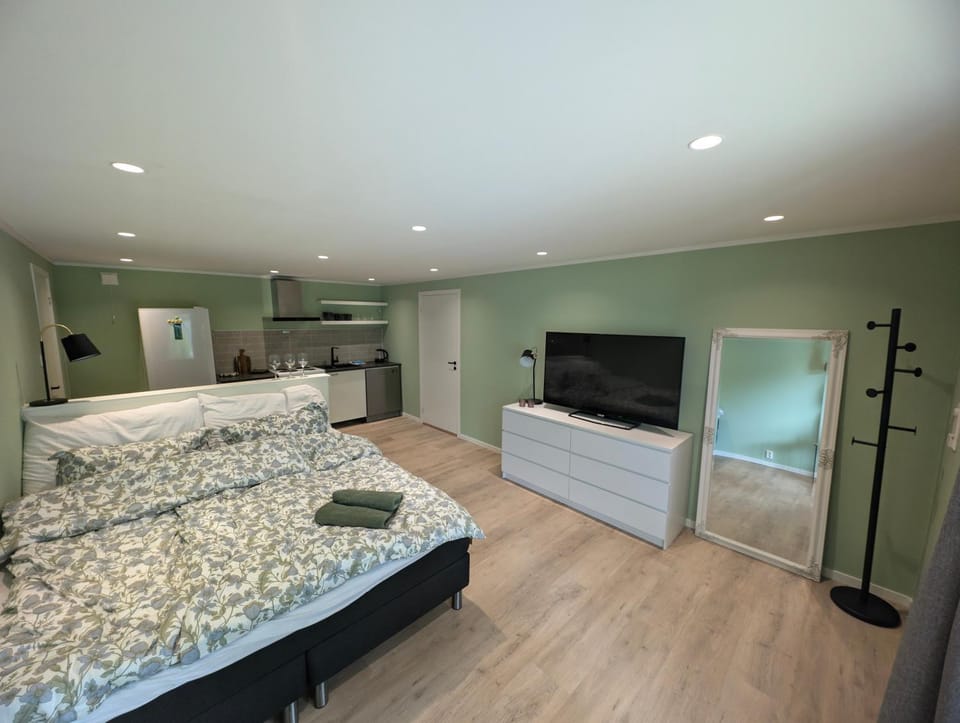 Bed, TV and multimedia, Photo of the whole room, Bedroom