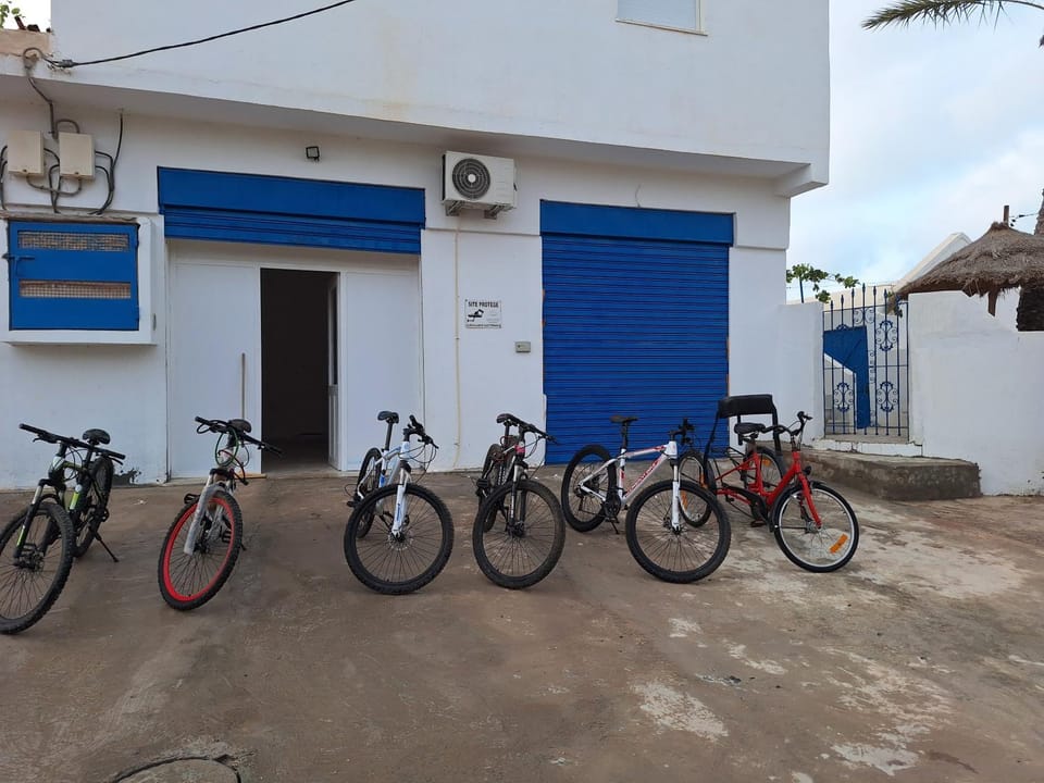 Day, Cycling