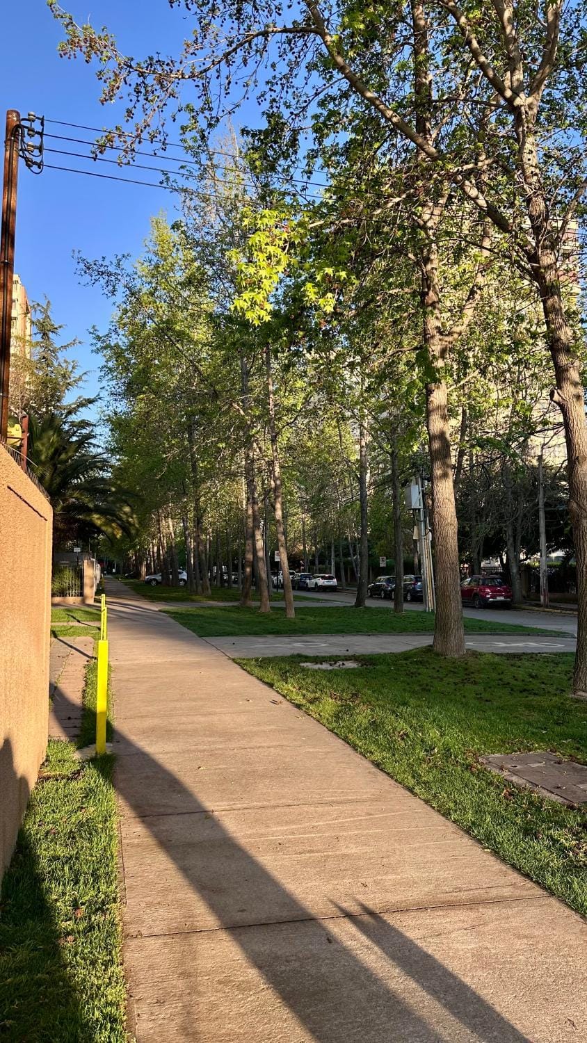 Neighbourhood