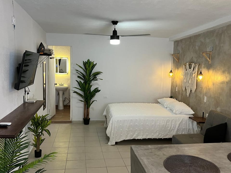 Estudio centro histórico #7 Apartment in San Jose del Cabo