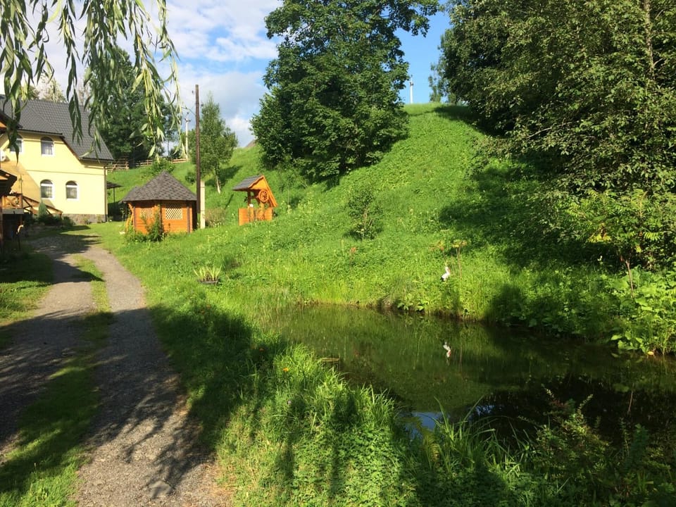 Spring, Day, Natural landscape, Garden