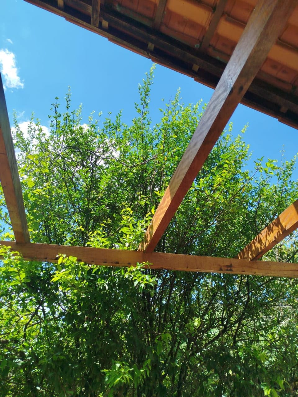 Suítes Garden Bed and Breakfast in Pomerode