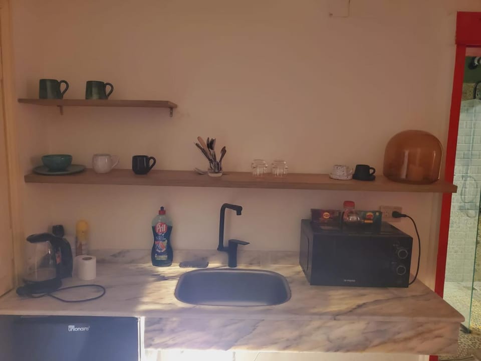 elegant 1 BR apr in the Center of downtown Apartment in Cairo