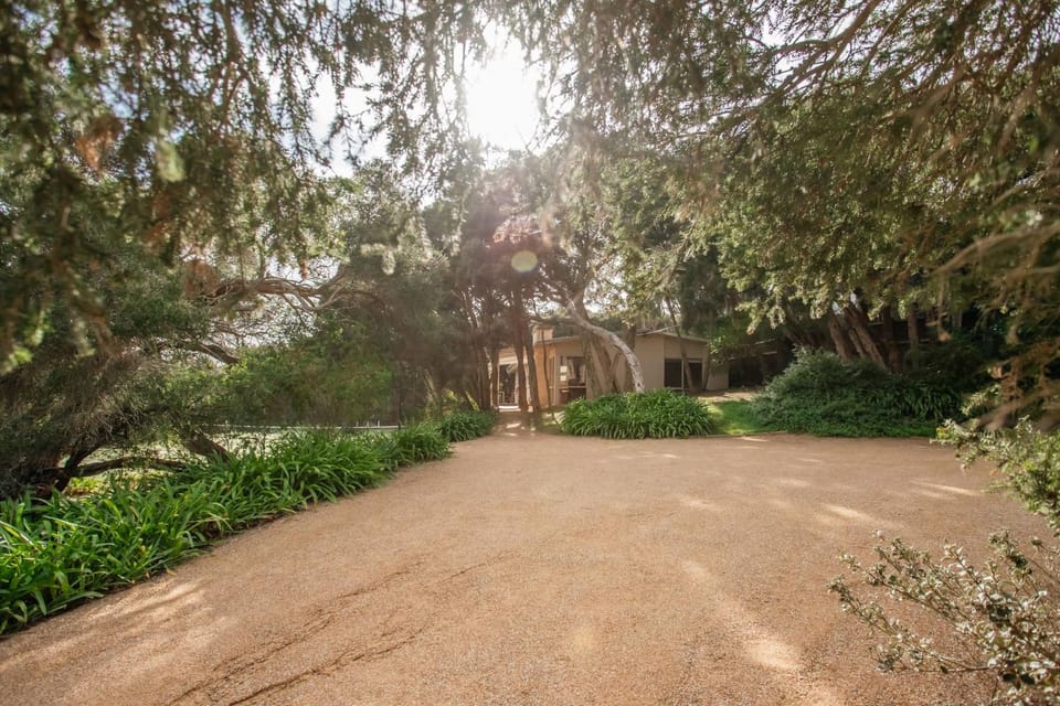 Merchant of Tennis House in Portsea