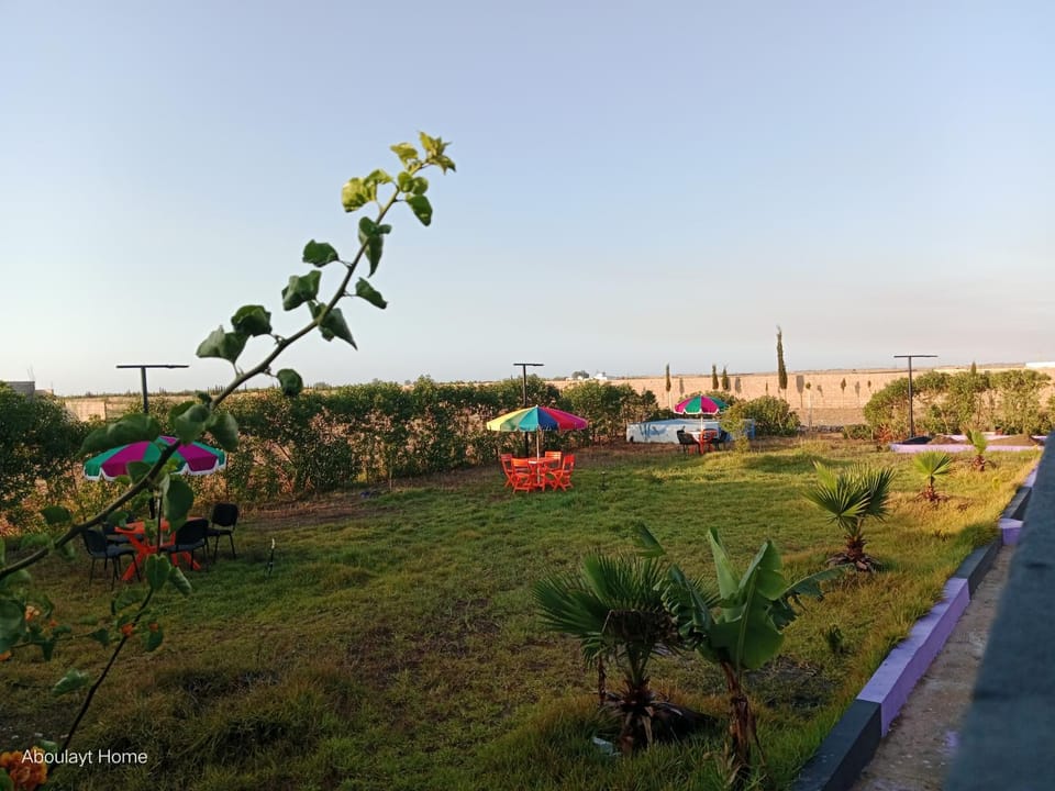 Spring, Day, Natural landscape, Children play ground, Garden, Evening entertainment, Garden view