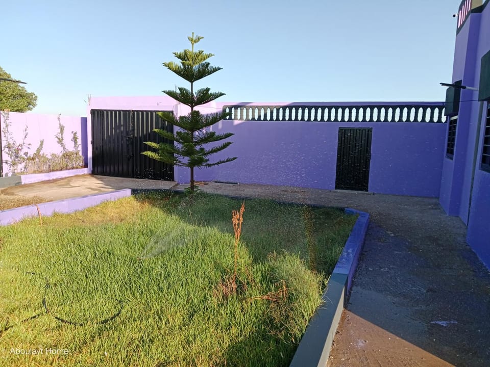 Spring, Day, Garden, Garden view