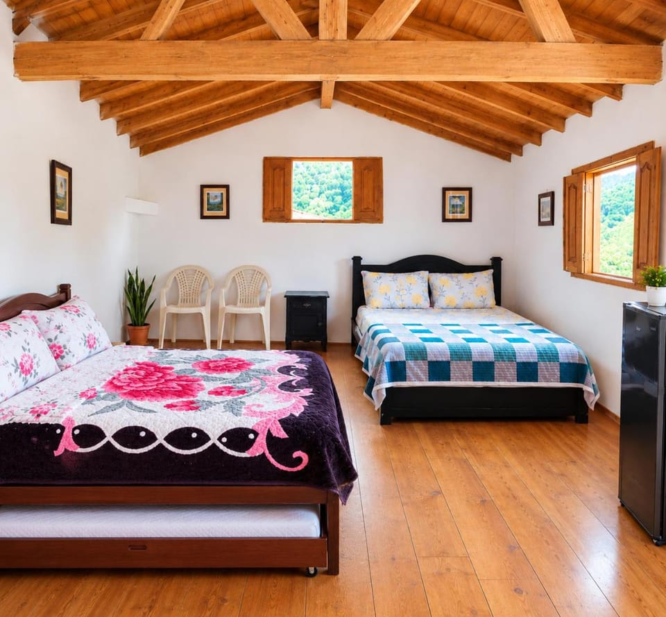 Bed, Photo of the whole room, Bedroom