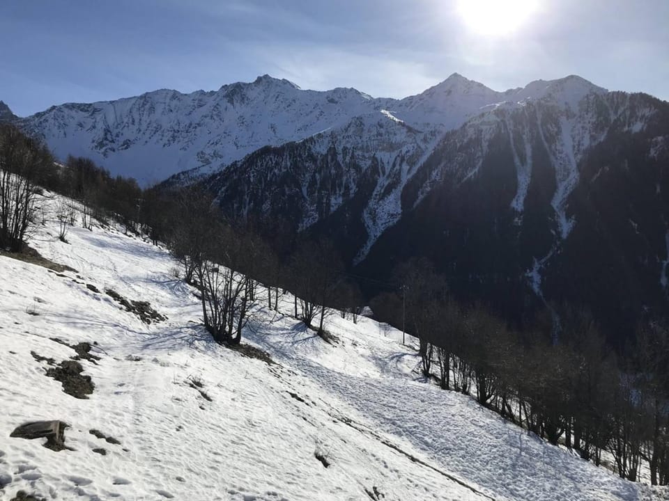 Charmant studio 4 pers, balcon Sud, proche pistes - Plan Peisey - FR-1-757-127 Apartment in Bellentre