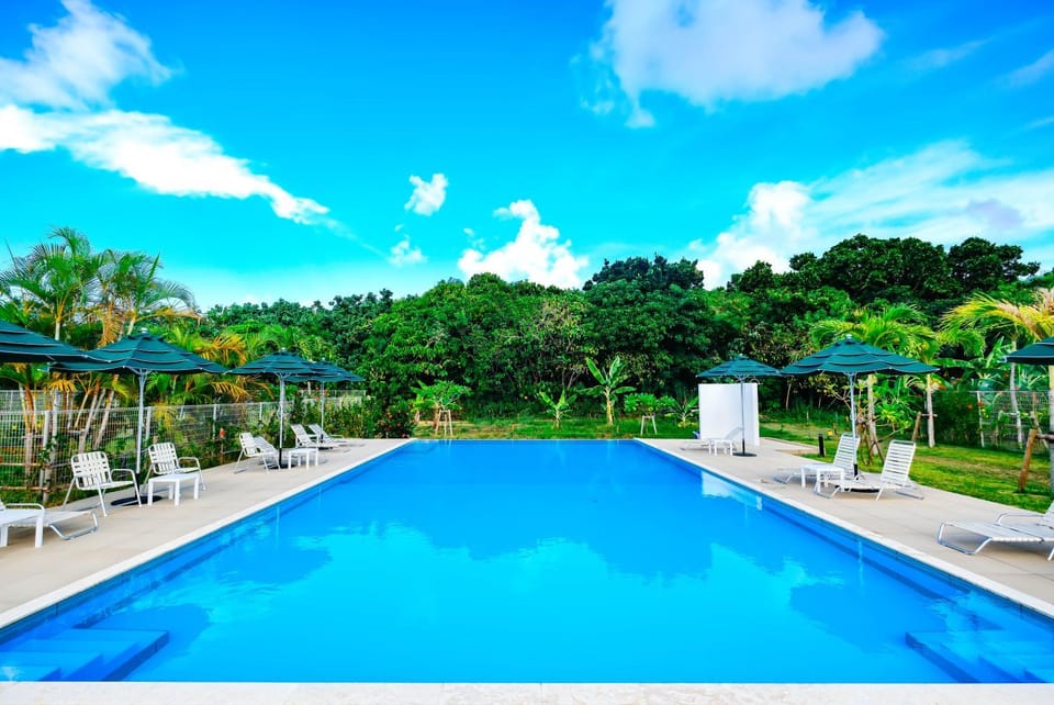 Day, Natural landscape, Pool view, Swimming pool, sunbed