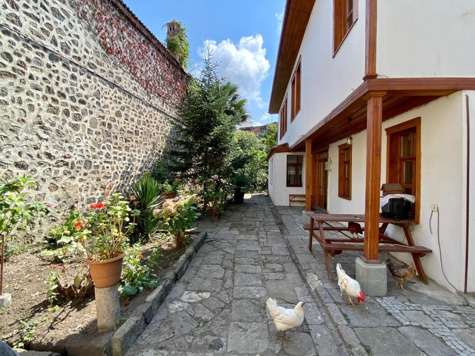 Property building, Patio, Garden, Inner courtyard view