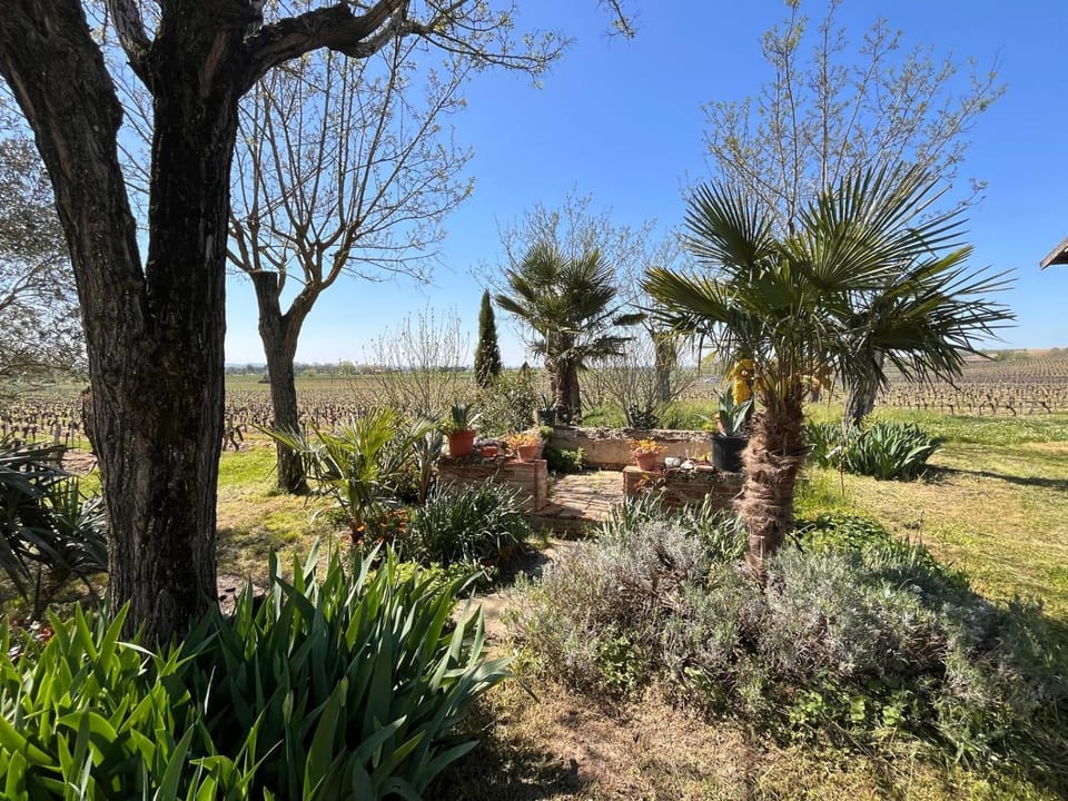 Garden view