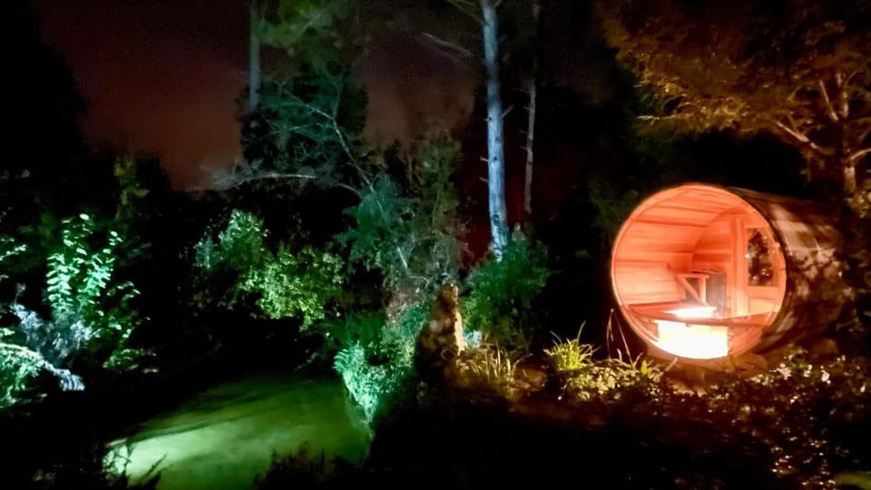 Night, Garden, Garden view