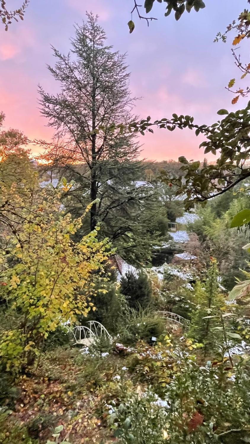 Garden, Garden view, Pool view