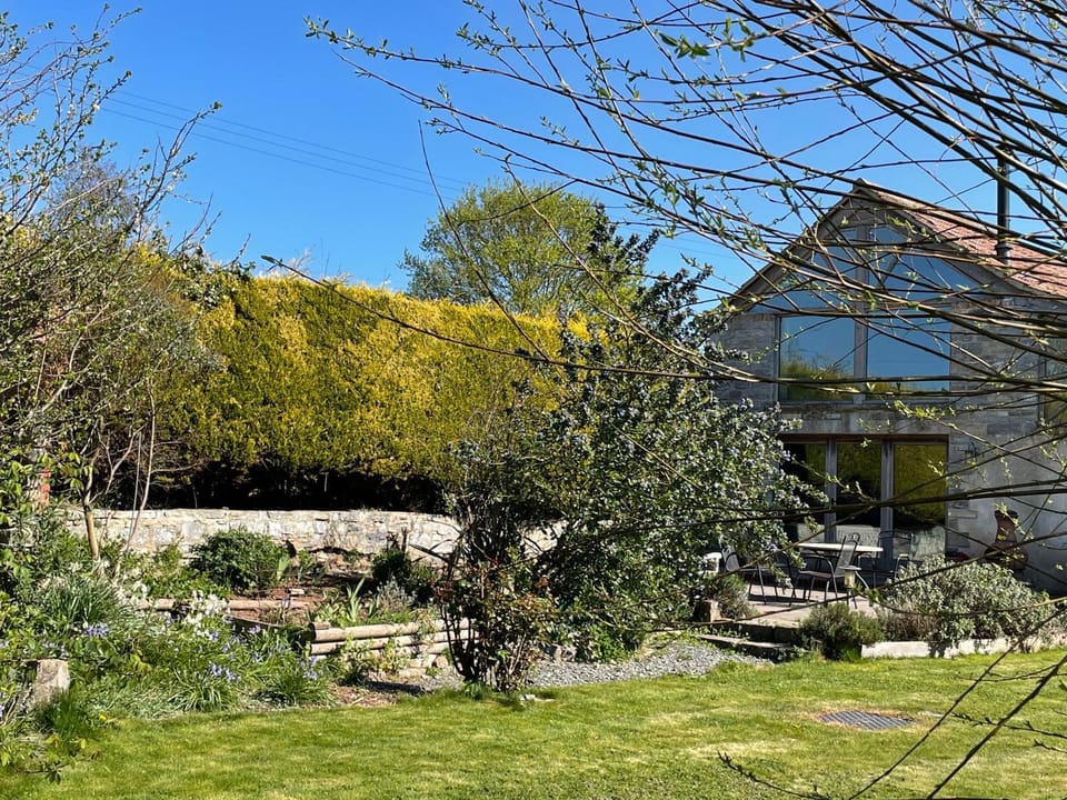 Spring, Garden