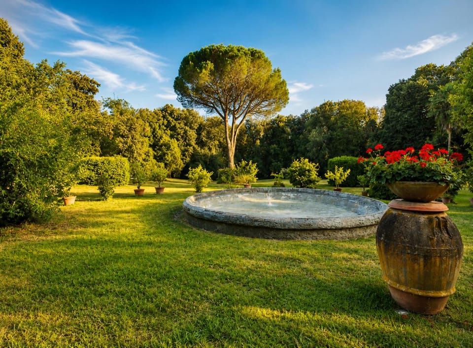 Day, Natural landscape, Garden, Garden view
