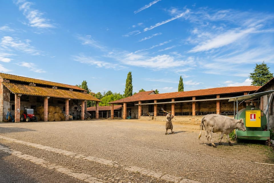 Day, Natural landscape, Seasons, Time of day, Inner courtyard view