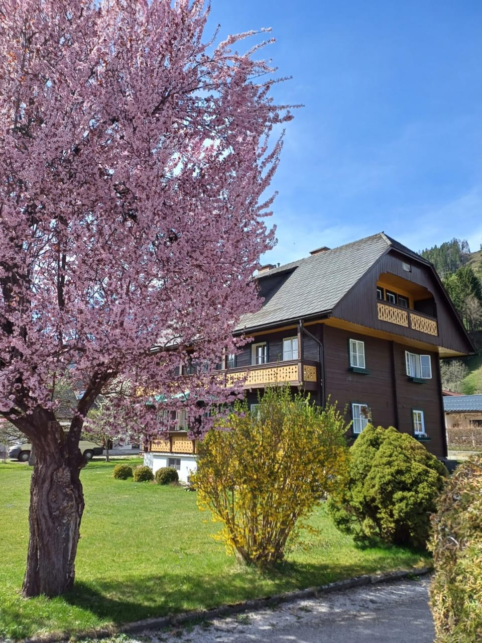Appartement Steiner Apartment in Schladming