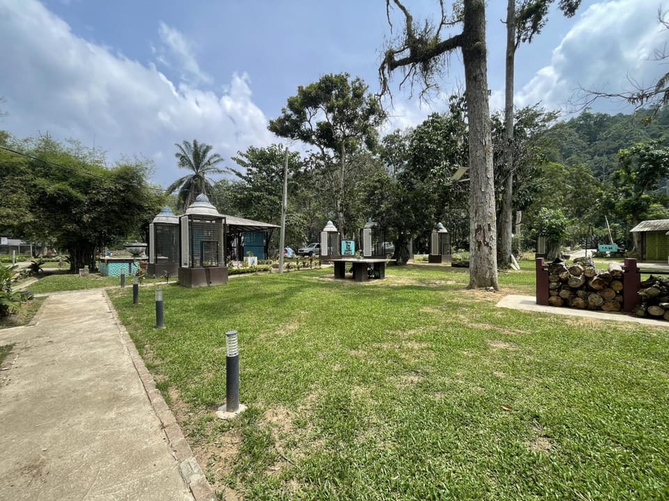 Garden, Garden view