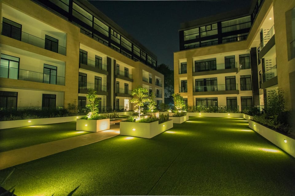 Property building, Night, Garden, Garden, Garden view